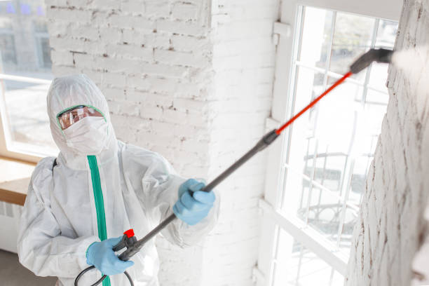 Best Environmental Consulting for Mold Prevention  in Hialeah Gardens, FL
