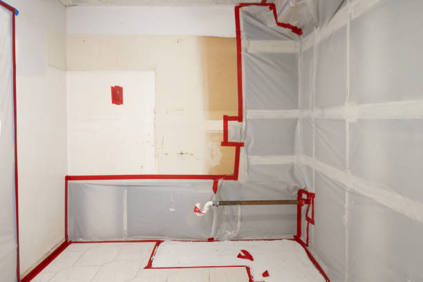 Best Crawl Space Mold Remediation  in Hialeah Gardens, FL