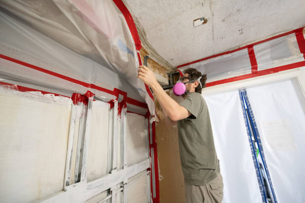 Best Mold Removal for HVAC Installations  in Hialeah Gardens, FL