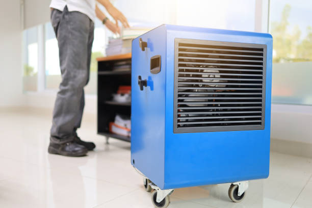 Best Mold-Related Health Consultation  in Hialeah Gardens, FL