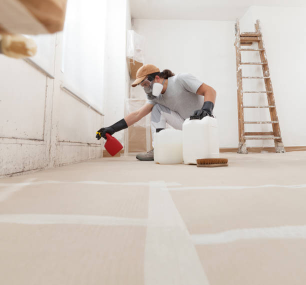 Best Black Mold Removal  in Hialeah Gardens, FL